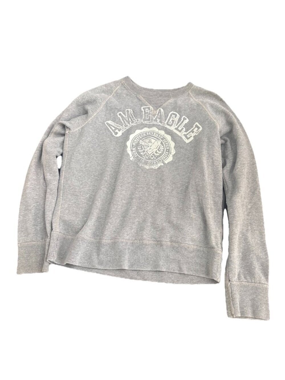 American Eagle Outfitters graphic crew neck sweatshirt Gray Medium